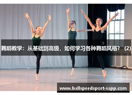 舞蹈教学：从基础到高级，如何学习各种舞蹈风格？ (2)